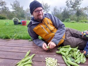 Håkon Eggebø renser bondebønner fra andelslandbruket i Bodø